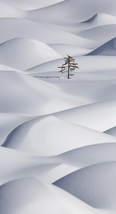 优发国际·随优而动一触即发